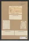 Cerataulus johnsonianus (Grev.) Cleve (de-Toni-Nr.: Genus 173, Species 4441) Zeichnungen Sammlung Grunow Nr. 8013 (NHMW-BOT-W0377312)